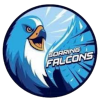 Logo AdU Falcons (Women)