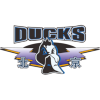 Logo Beijing Shougang Ducks