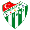 Logo Bursaspor