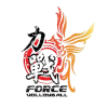 Logo Force VC