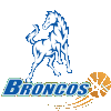 Logo Hume City Broncos