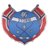 Logo IF Storm