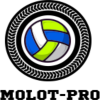 Logo Molot-Pro