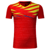 Logo Phoenix-Pro