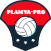 Logo Plamya-Pro