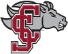 Logo Santa Clara Broncos (Women)