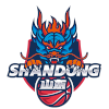 Logo Shandong Kirins