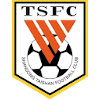 Logo Shandong Taishan U20