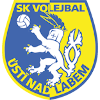 Logo SKV Usti nad Labem