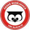 Logo Slavia Ceske Budejovice (Women)