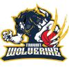 Logo TAR UMT