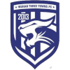 Logo Wuhan Three Towns U20